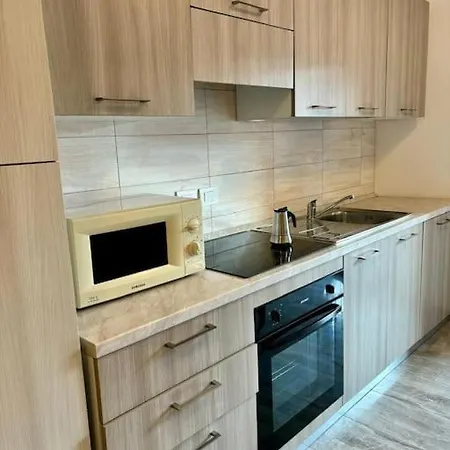 Loft In Fiera 公寓 *